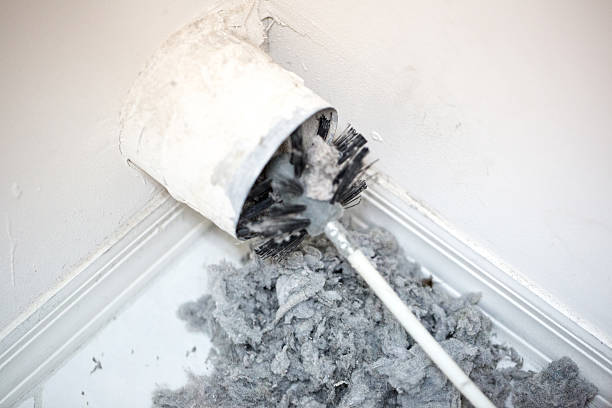 Best Professional Duct Cleaning Services  in Hardeeville, SC
